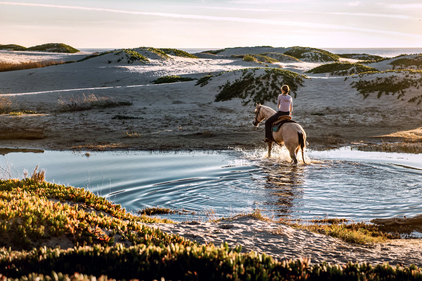 Cavalier dans les dunes